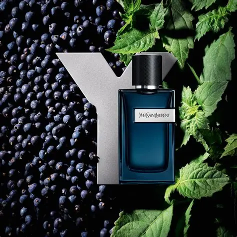 Y Eau de Parfum de Yves Saint Laurent -100ml - Imagen 2